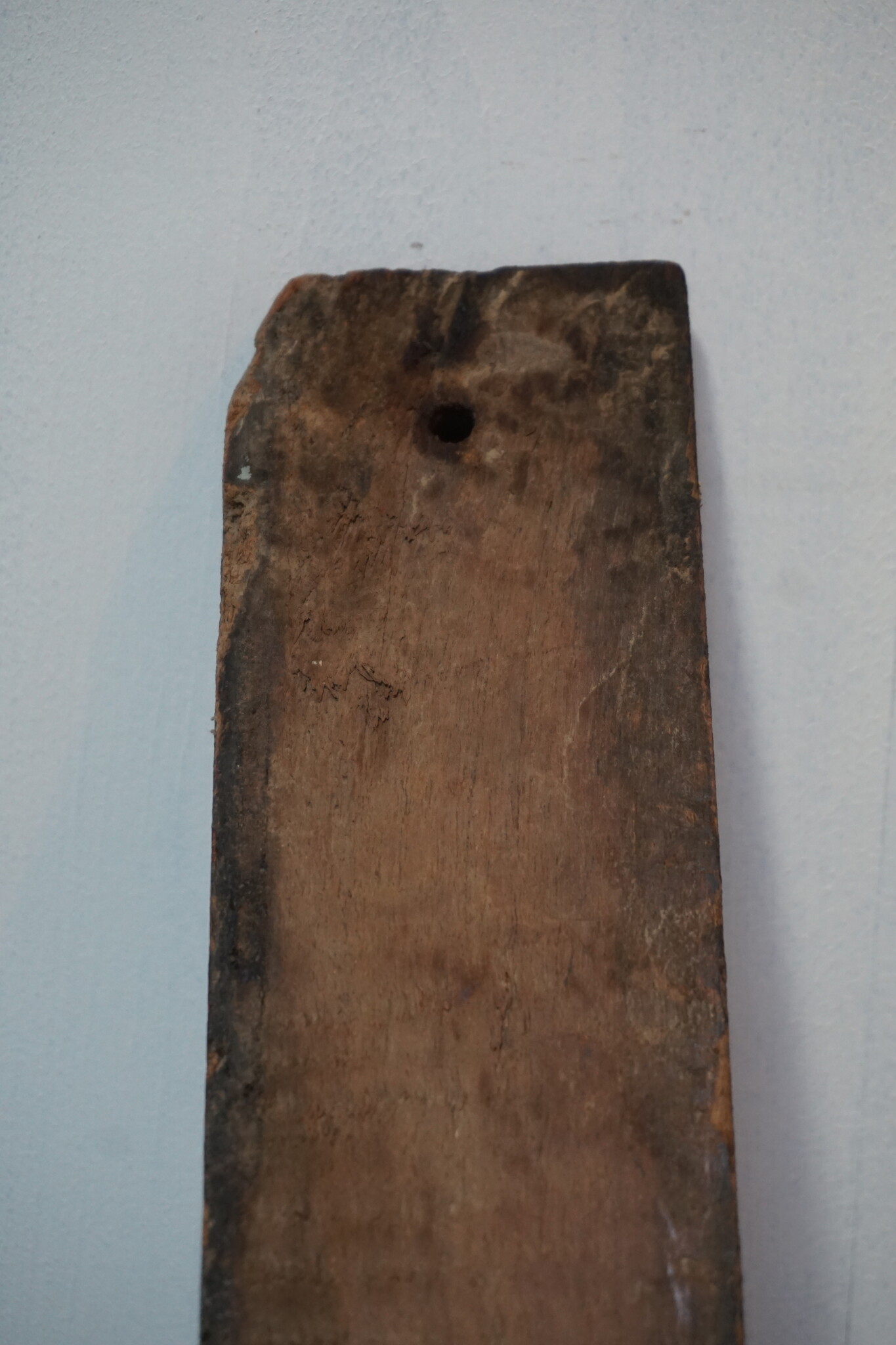 Rene Houtman Wand Ornament | H37 x B7 cm