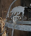Rene Houtman Wildhaak IJzer | H40 x D30 cm