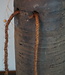 Aura Peeperkorn Nepalese Houten Pot | H29 x D12,5 cm