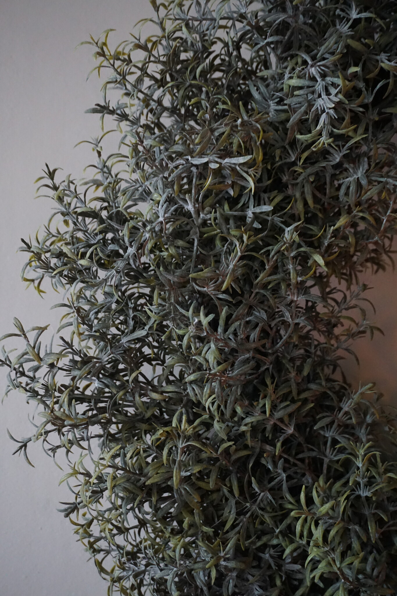 Brynxz Lauwerkrans Rozemei | 60 cm