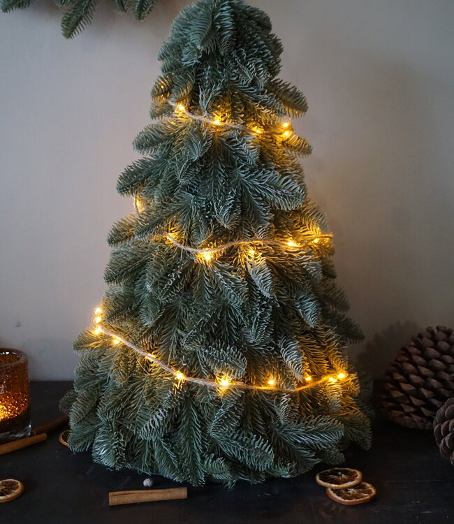 Brynxz Nobilis Kerstboom Exclusief LED | 35x H52