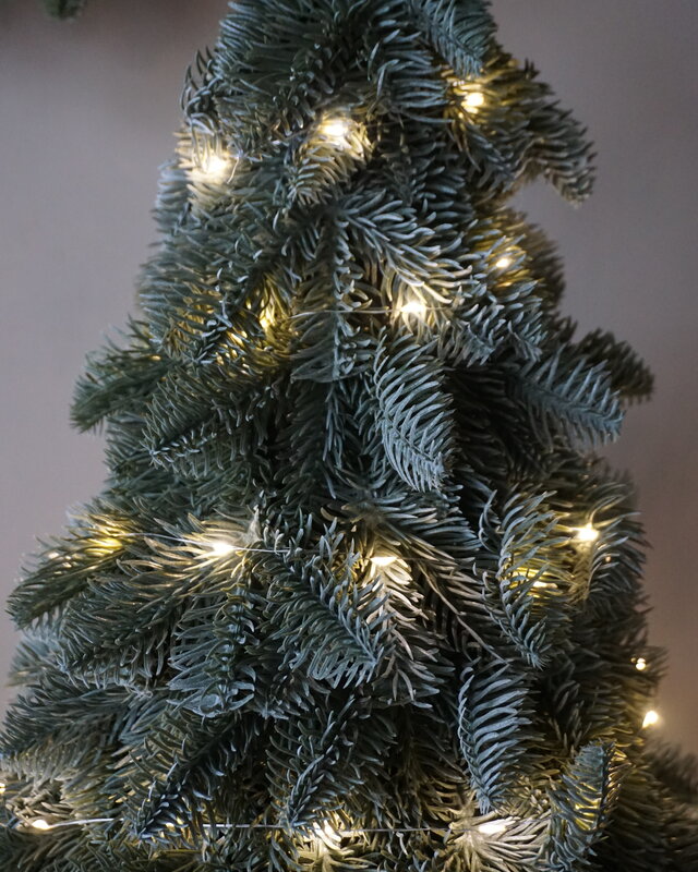 Brynxz Nobilis Kerstboom Inclusief LED Verlichting | D35 x H52