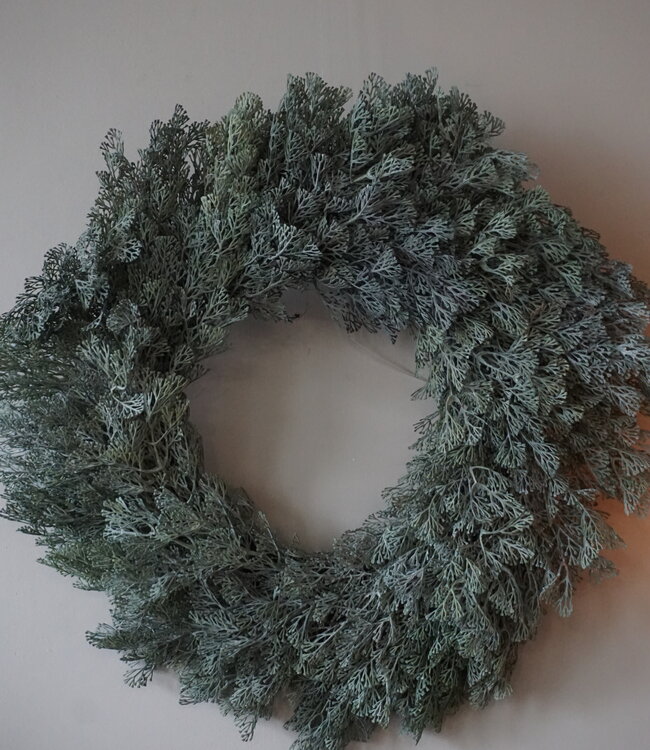 Brynxz Krans |  Dillekruid |  60 cm