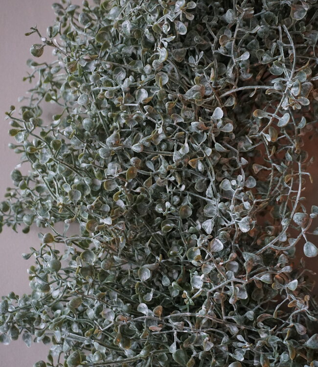 Brynxz Lauwer Krans | D60 cm