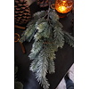 Dennen Kersttak | L65 x B30