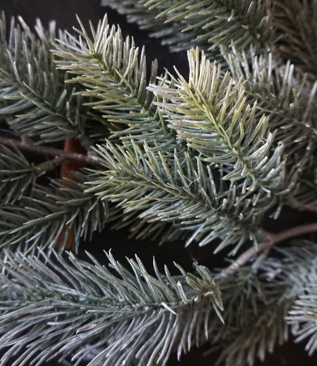 Brynxz Dennen Kersttak | L65 x B30