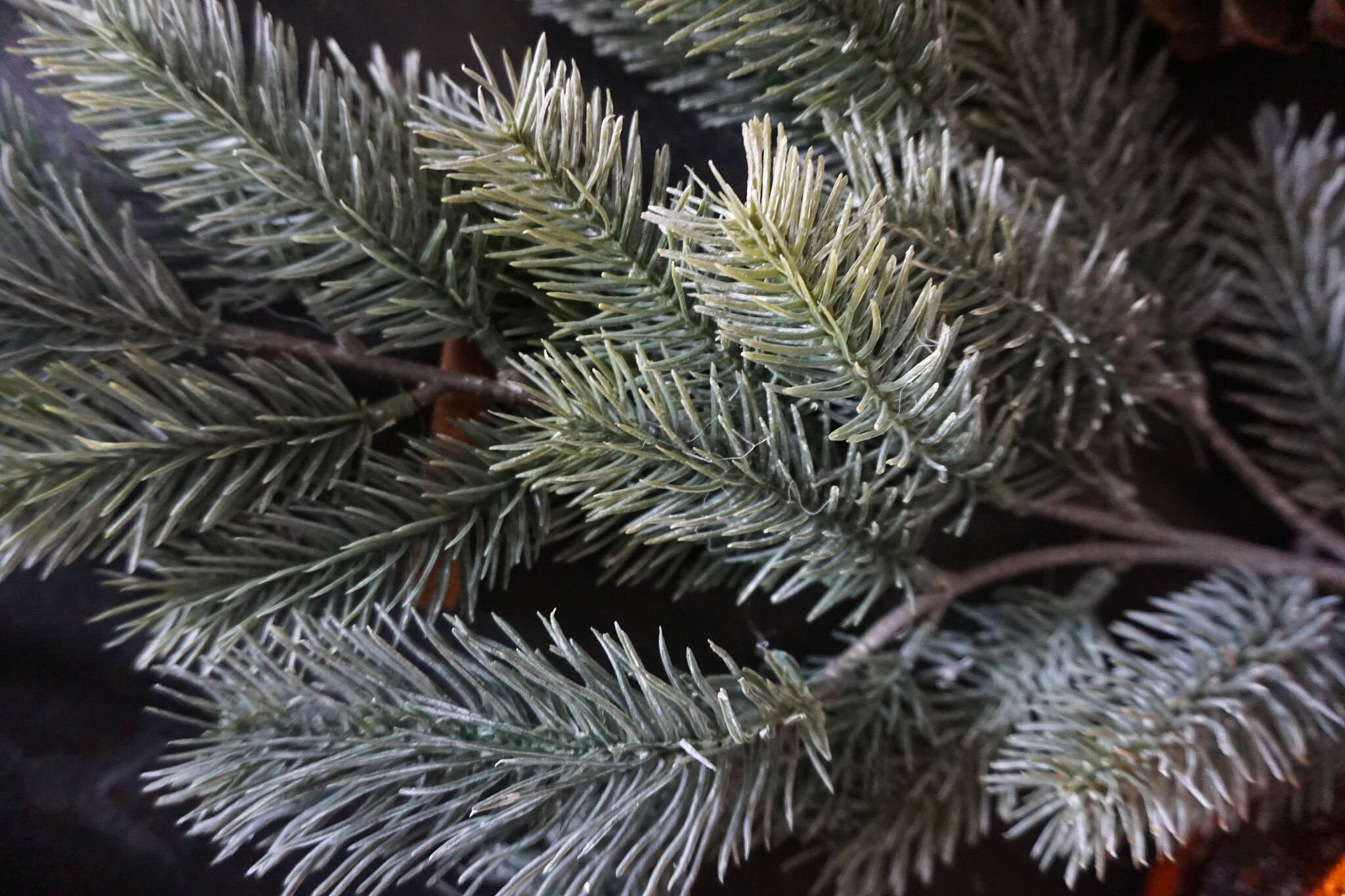 Brynxz Dennen Kersttak | L65 x B30