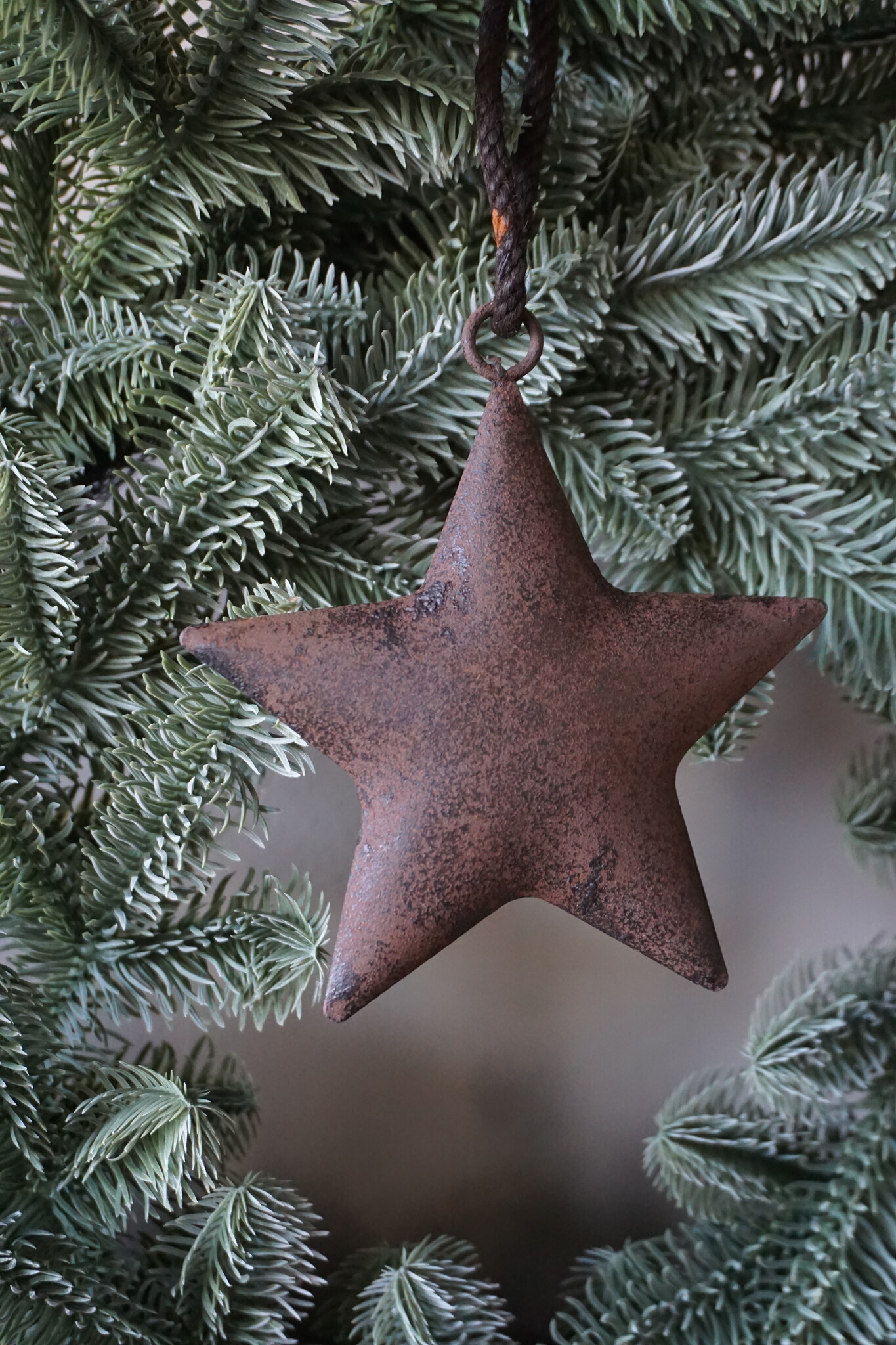 Rene Houtman Roestige Metalen Ster Aan Lint | 10 cm