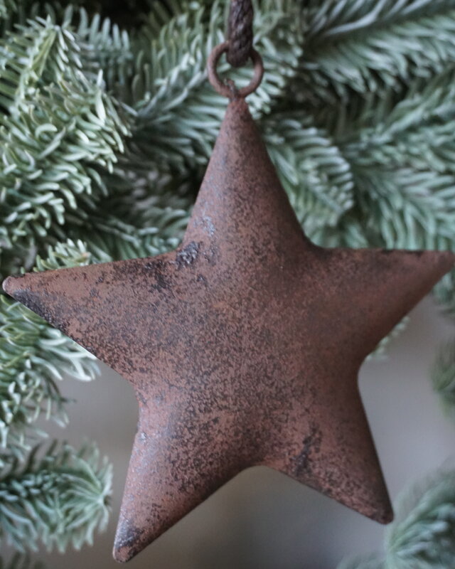 Rene Houtman Roestige Metalen Ster Aan Lint | 10 cm