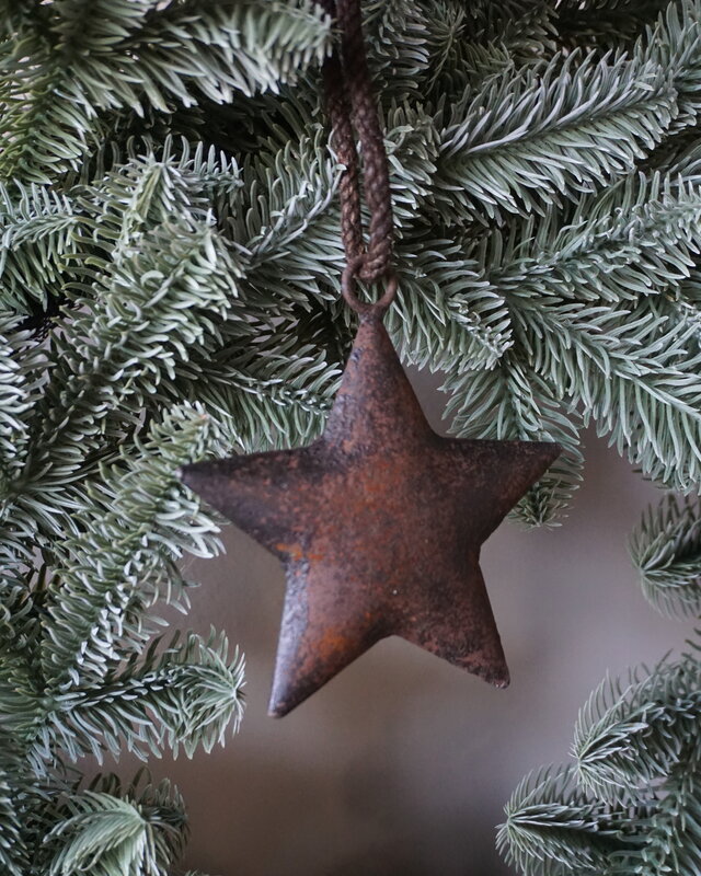 Rene Houtman Roestige Metalen Ster Aan Lint | 12 cm