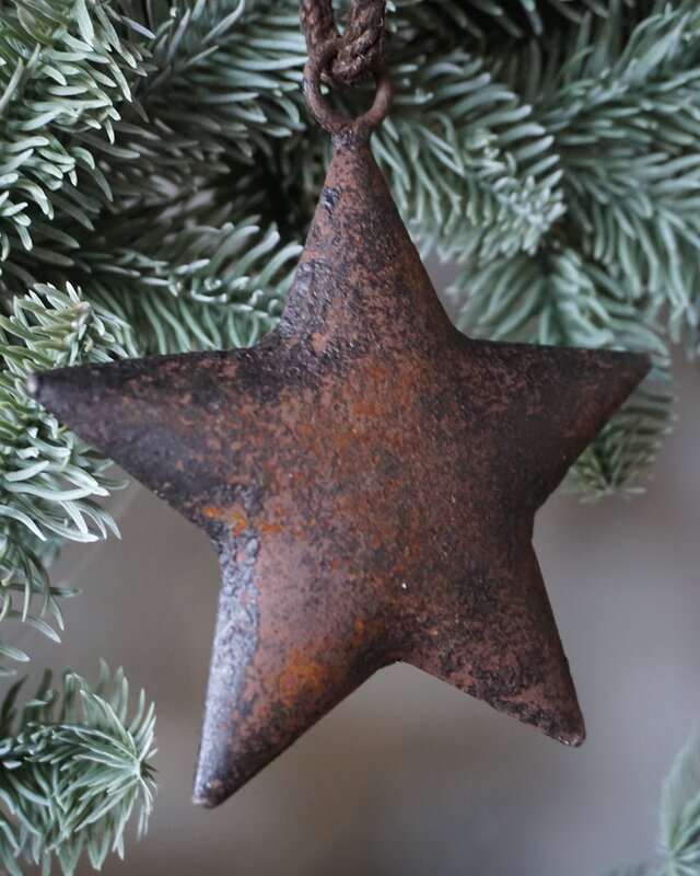 Rene Houtman Roestige Metalen Ster Aan Lint | 12 cm