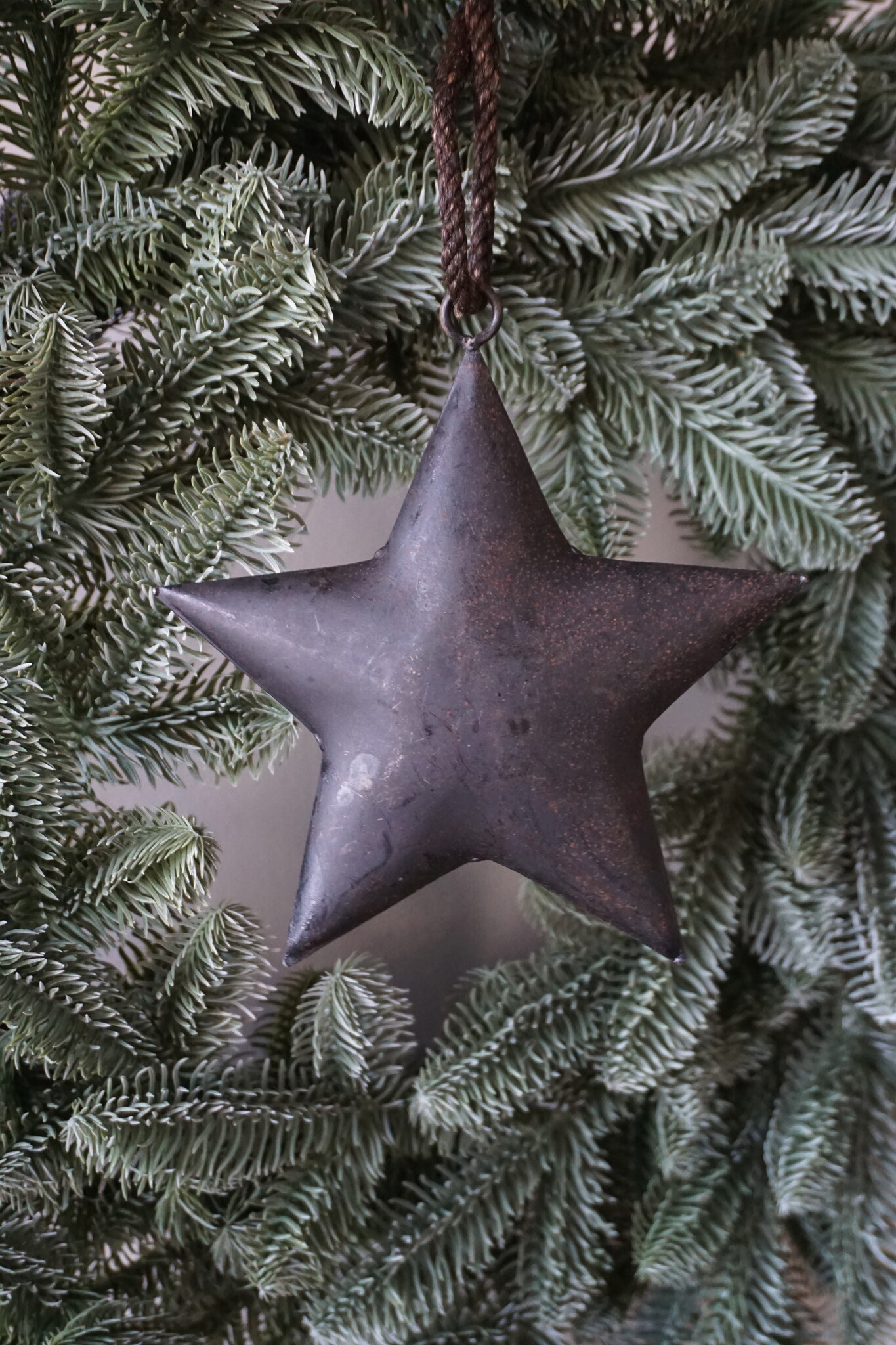 Rene Houtman Roestige Metalen Ster Aan Lint | 15 cm