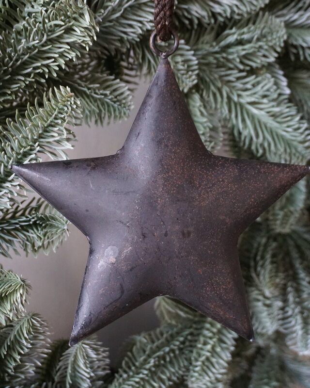 Rene Houtman Roestige Metalen Ster Aan Lint | 15 cm