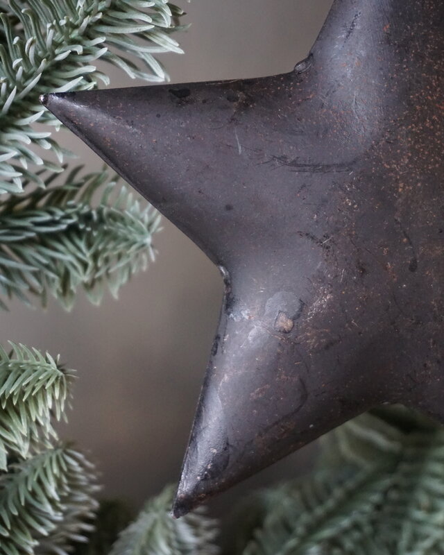 Rene Houtman Roestige Metalen Ster Aan Lint | 15 cm