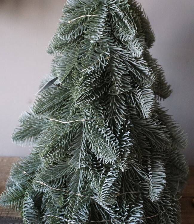 Brynxz Nobilis Boompje | LED | H32 x D25 cm