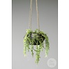 Metalen Hangpot Aan Touw | H15 x B32 x D32 cm