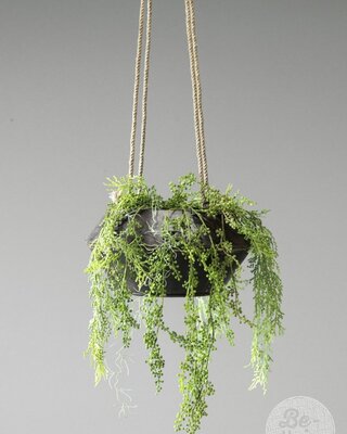 Be-Uniq Metalen Hangpot Aan Touw | H15 x B32 x D32 cm