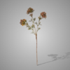 Kunstbloem Bouvardia | Bruin | H70 cm
