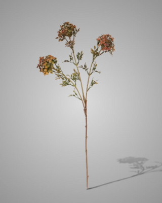 Brynxz Kunstbloem Bouvardia | Bruin | H70 cm