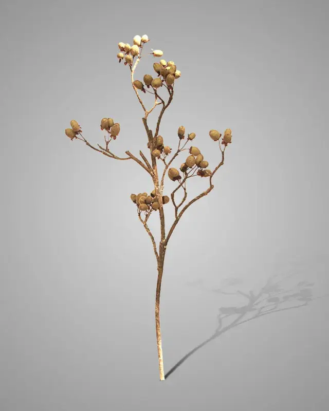 Brynxz Kunstbloem Alnus Grande | Groen | H92 cm
