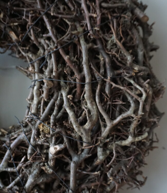 Rene Houtman Prachtige Sierkrans | Wilde Bonsai | D45 cm