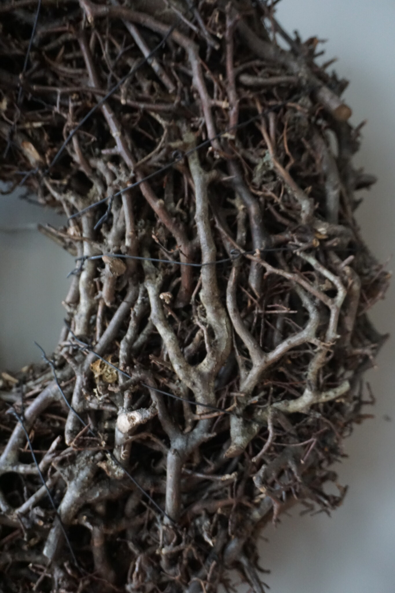 Rene Houtman Prachtige Sierkrans | Wilde Bonsai | D45 cm