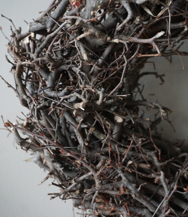 Rene Houtman Kleine Sierkrans | Wilde Bonsai | D30 cm