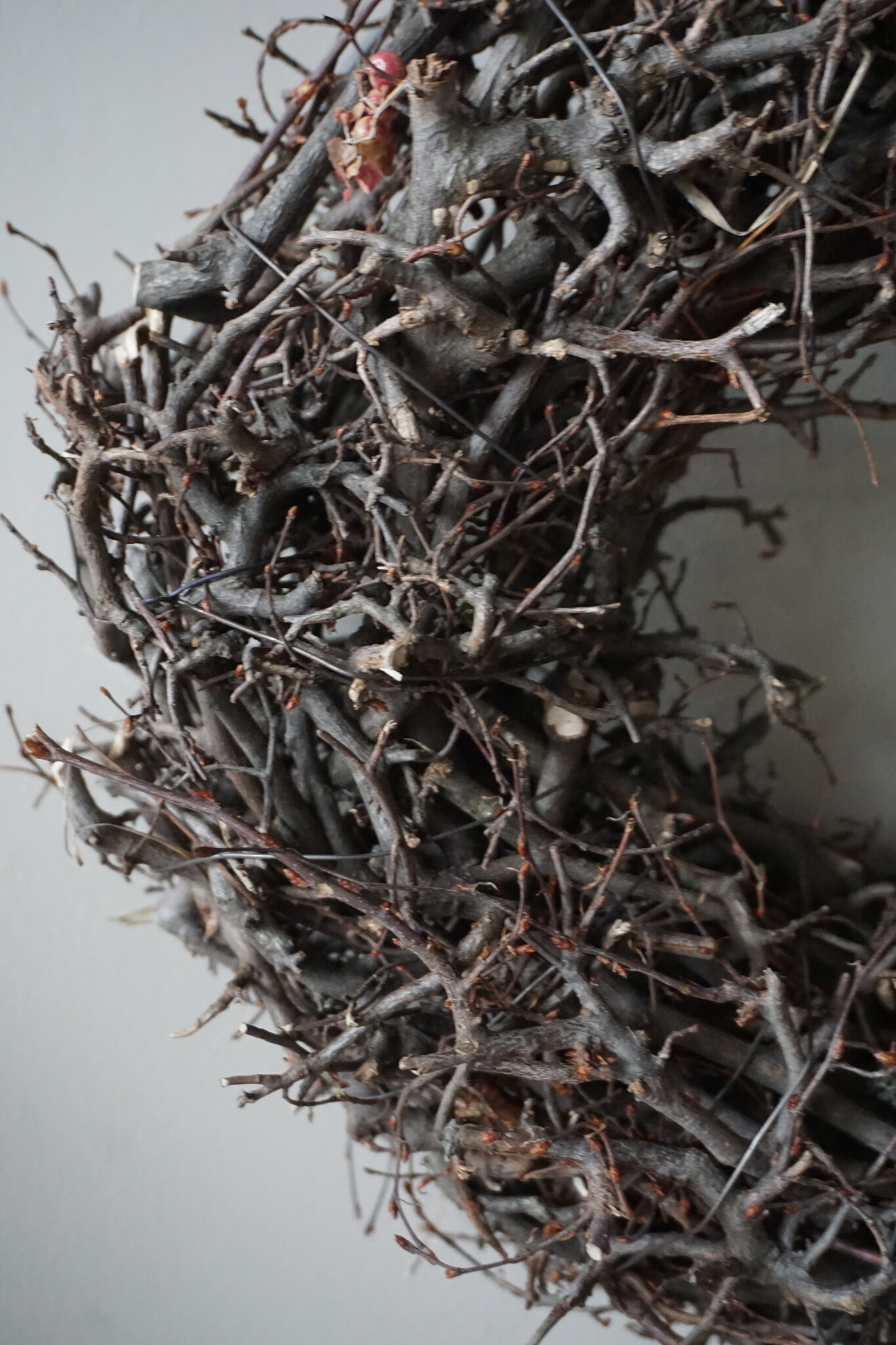 Rene Houtman Kleine Sierkrans | Wilde Bonsai | D30 cm