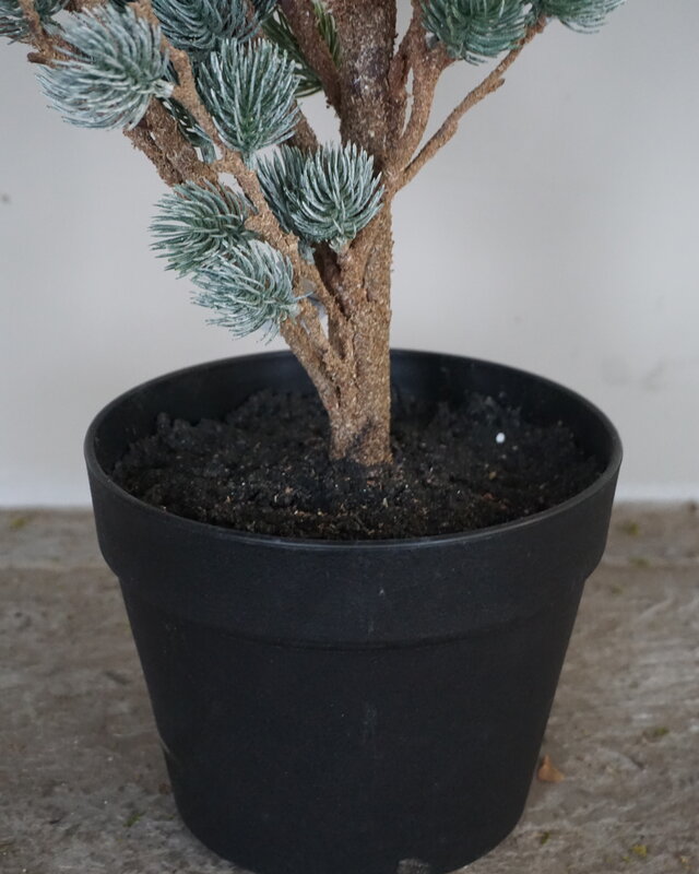Brynxz X-Tree Kerstboom Larix Groen Grijs Maat S | H80 x D70cm