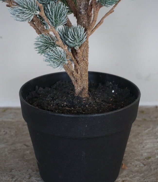 Brynxz X-Tree Kerstboom Larix Groen Grijs Maat S | H80 x D70cm