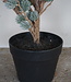 Brynxz X-Tree Larix Groen Grijs Maat S | H80 x D70cm
