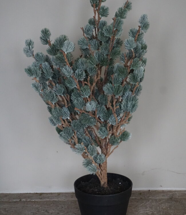 Brynxz X-Tree Kerstboom Larix Groen Grijs Maat S | H80 x D70cm