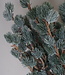 Brynxz X-Tree Larix Groen Grijs Maat S | H80 x D70cm
