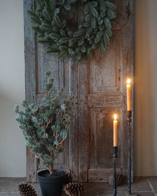 Brynxz X-Tree Kerstboom Larix Groen Grijs Maat S | H80 x D70cm