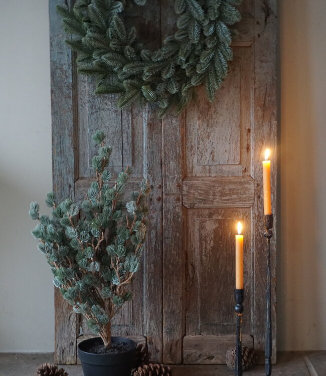 Brynxz X-Tree Kerstboom Larix Groen Grijs Maat S | H80 x D70cm