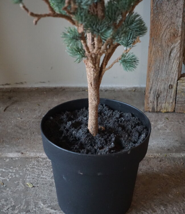 Brynxz X-Tree Kerstboom Larix Groen Grijs Maat M | H120 x D86cm