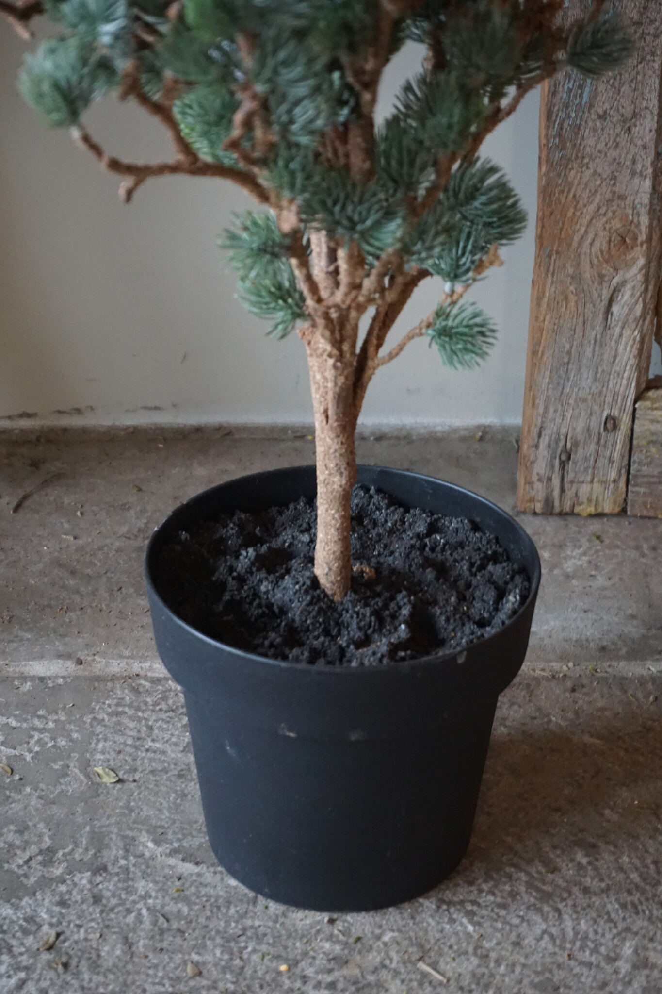 Brynxz X-Tree Kerstboom Larix Groen Grijs Maat M | H120 x D86cm