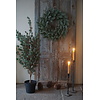 X-Tree Kerstboom Larix Groen Grijs Maat M | H120 x D86cm