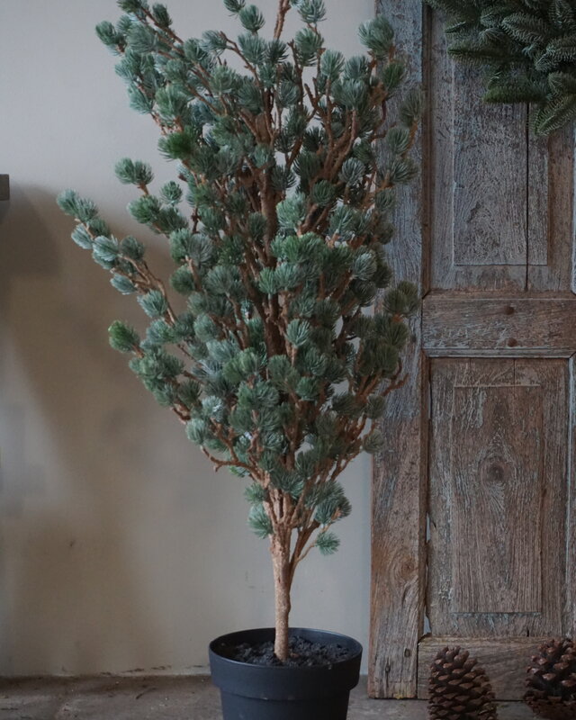 Brynxz X-Tree Kerstboom Larix Groen Grijs Maat M | H120 x D86cm