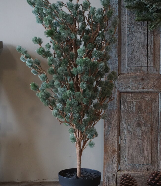 Brynxz X-Tree Kerstboom Larix Groen Grijs Maat M | H120 x D86cm