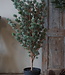 Brynxz X-Tree Kerstboom Larix Groen Grijs Maat M | H120 x D86cm