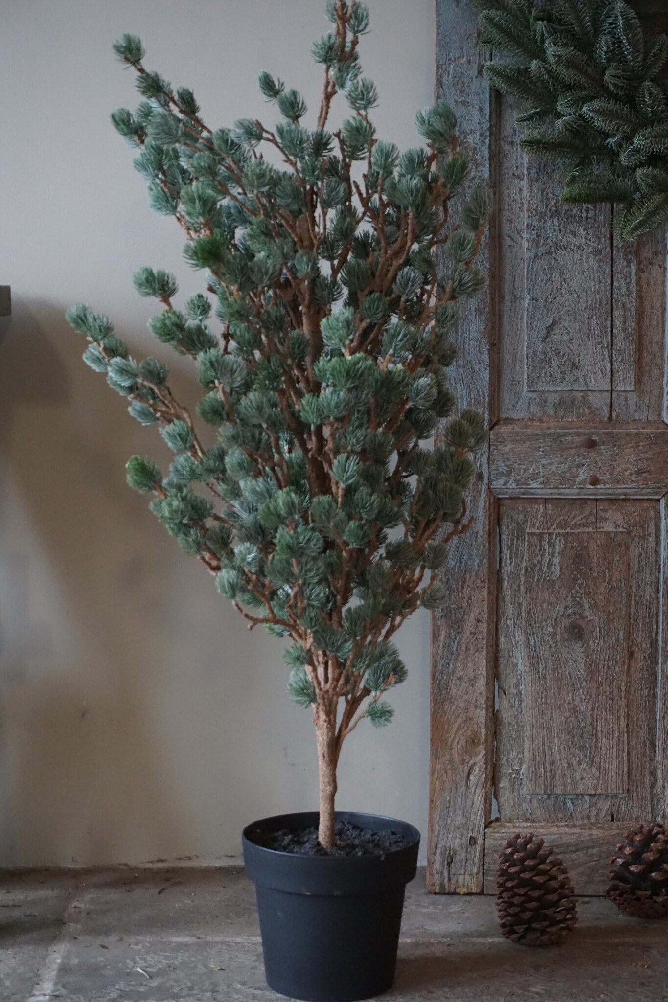 Brynxz X-Tree Kerstboom Larix Groen Grijs Maat M | H120 x D86cm