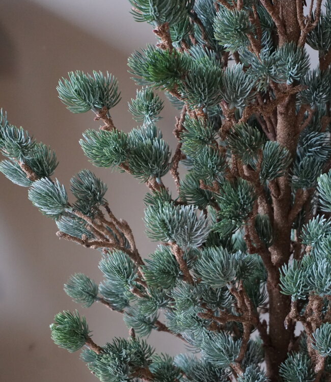 Brynxz X-Tree Kerstboom Larix Groen Grijs Maat M | H120 x D86cm