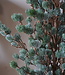 Brynxz X-Tree Larix Groen Grijs Maat M | H120 x D86cm
