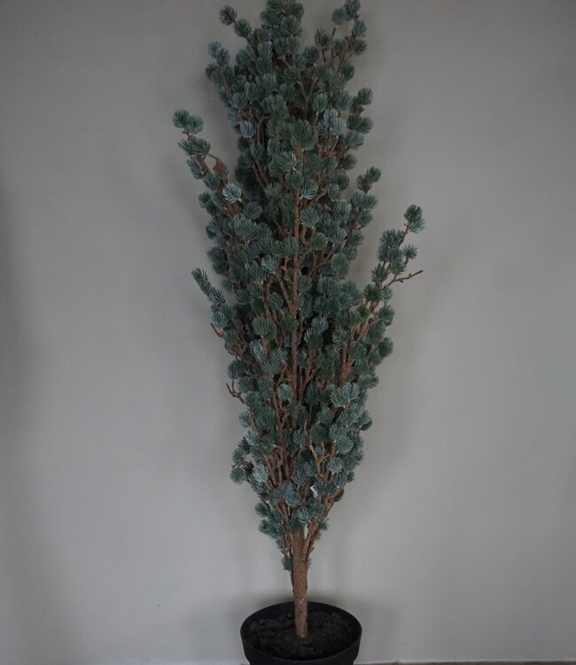 Brynxz X-Tree Kerstboom Larix Groen Grijs Maat L | H160 x D122cm