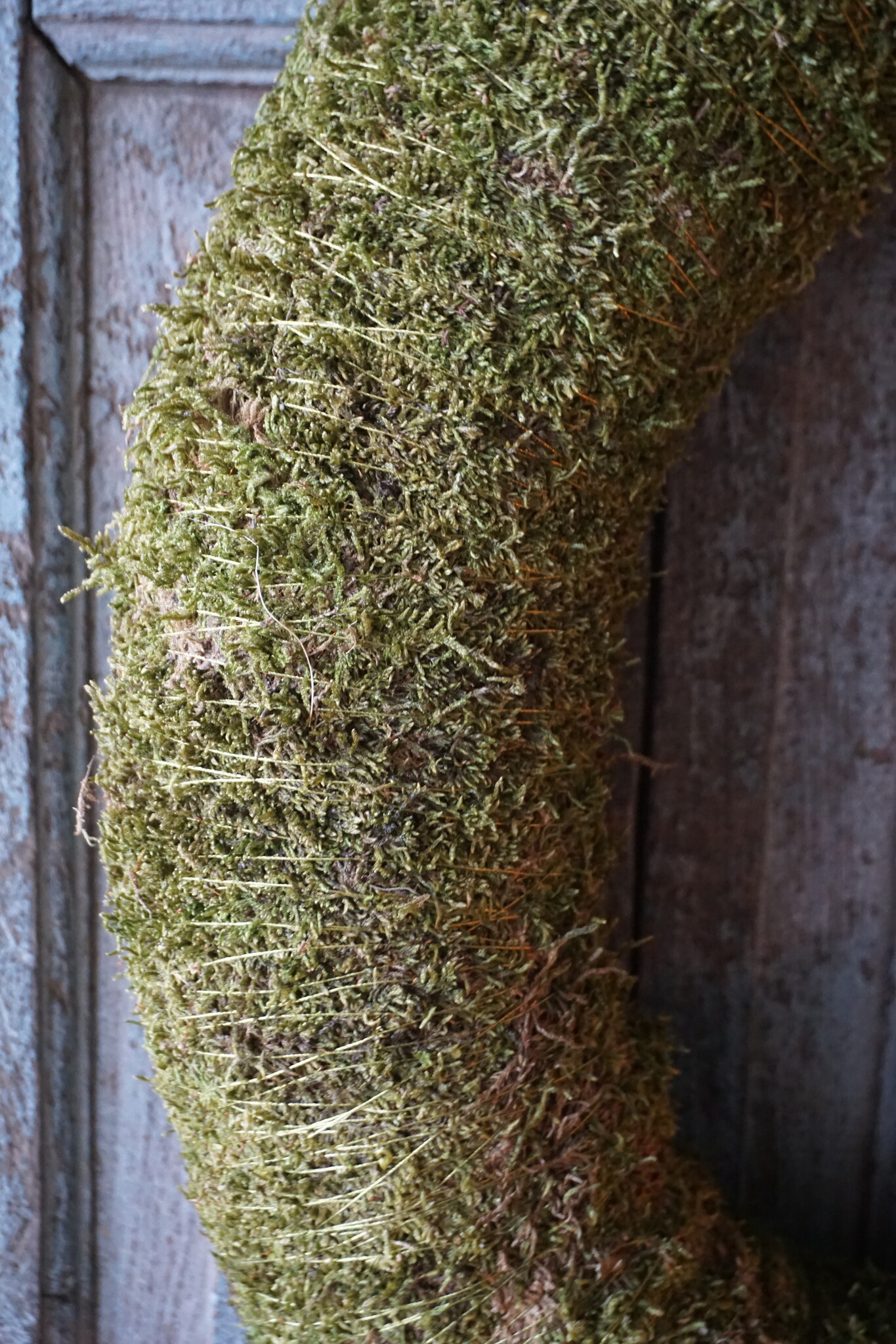 Rene Houtman Sierkrans Mos | Diameter 50cm x Dikte 12cm