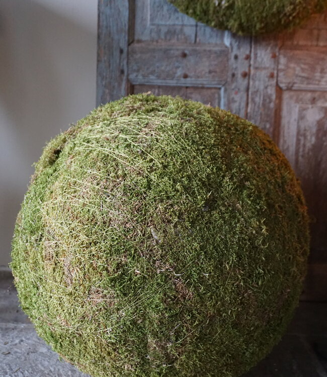 Rene Houtman Decoratie Bol Mos | D50 cm