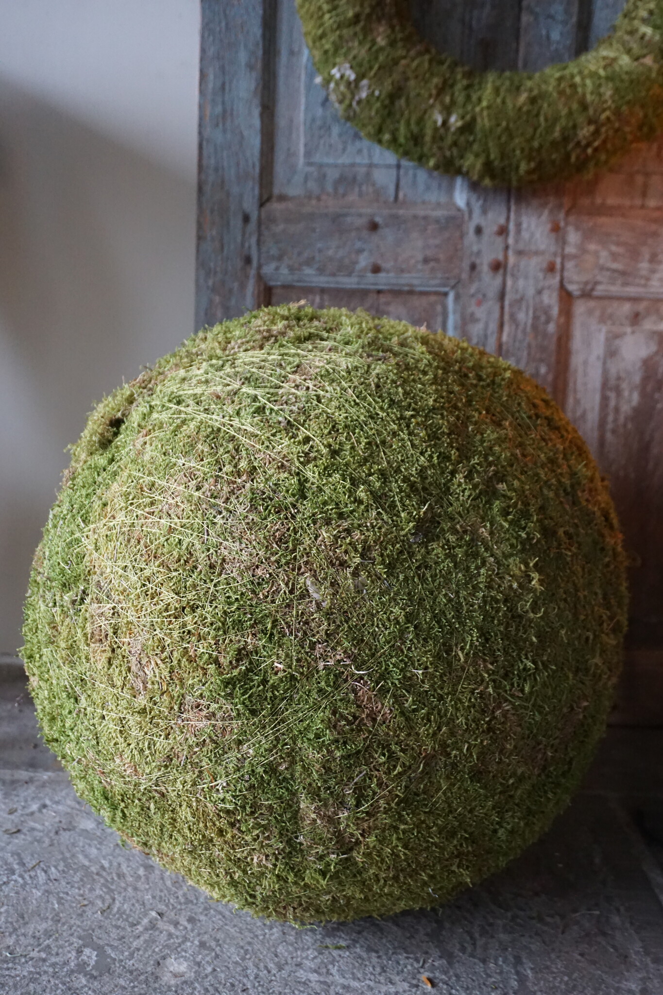 Rene Houtman Decoratie Bol Mos | D50 cm