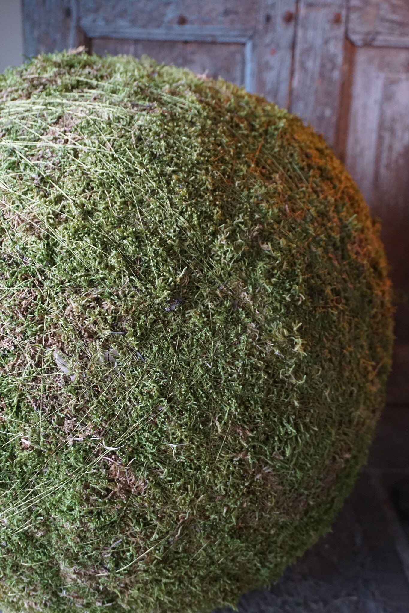Rene Houtman Decoratie Bol Mos | D50 cm