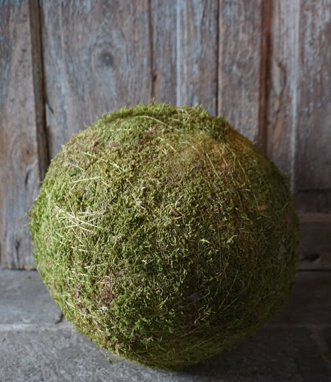Rene Houtman Decoratiebol Mos | D30cm